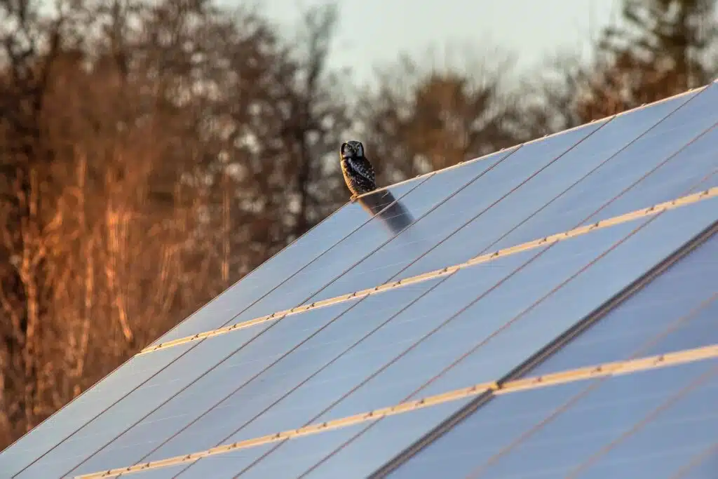 commercial solar elek